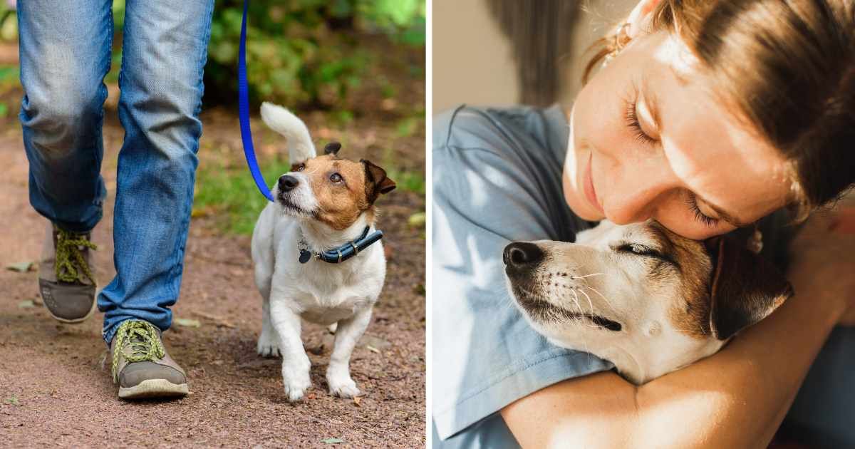 (L) A man walking his pet dog. (R) A woman hugging a dog. (Representative Cover Image Source: Getty Images | (L) alexei_tm, (R) Anastasiia Krivenok)