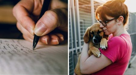 Shelter rescues a dog wandering alone with a note on her collar — what it said left everyone heartbroken