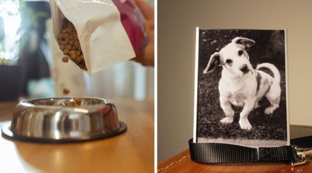 Dog owner shares heartbreaking reason she fills her pet’s bowl with food months after his death