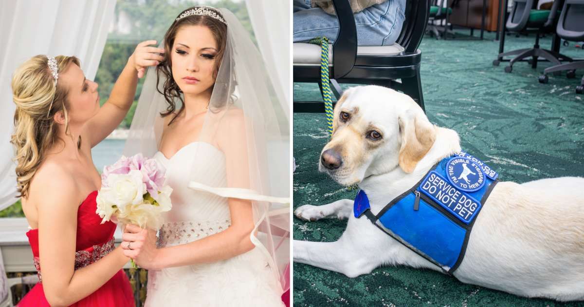 (L) A bridesmaid helping a bride. (R) A service dog. (Representative Cover Image Source: Getty Images | (L) georgeclerk, (R) Kelsey Andriot Purcell)