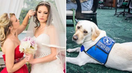 Bride who dislikes dogs lets bridesmaid with PTSD bring service animal — but her strange photo rule enrages everyone
