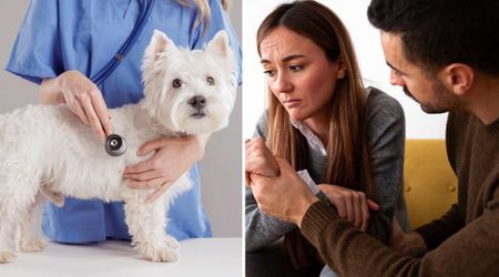 Her dog tragically passed away during routine vet checkup — and one split-second choice made her blame herself forever