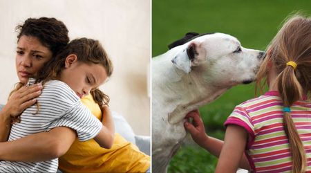 6-year-old girl was inconsolable over losing her senior dog — so he gave his little owner one final comfort before his last breath