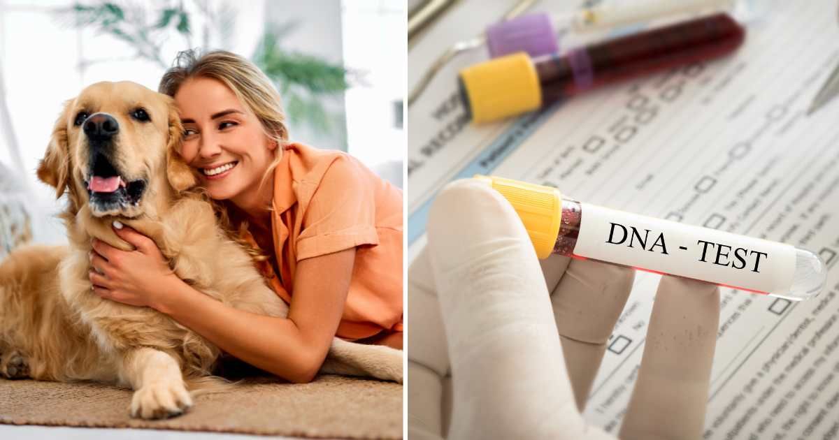 (L) A woman hugging her pet dog. (R) A DNA test sample. (Representative Cover Image Source: Getty Images | (L) Harbucks, (R) utah778)