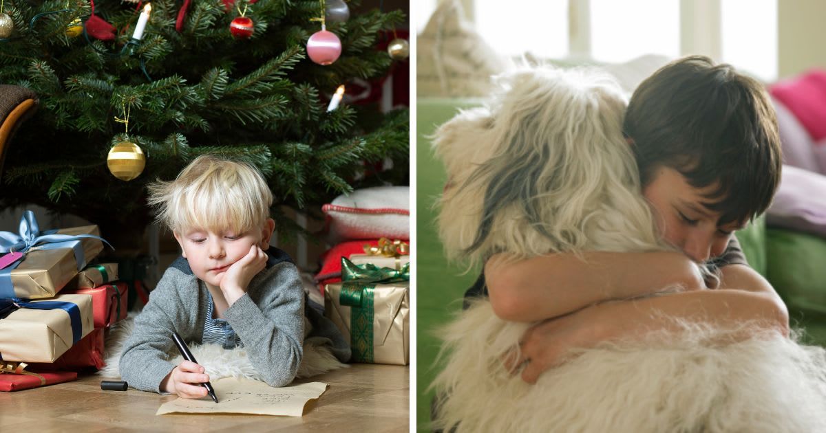 (L) Boy writing under a Christmas tree, (R) Boy hugging his dog. (Representative Cover Image Source: Getty Images | (L)jf, (R) John Howard)