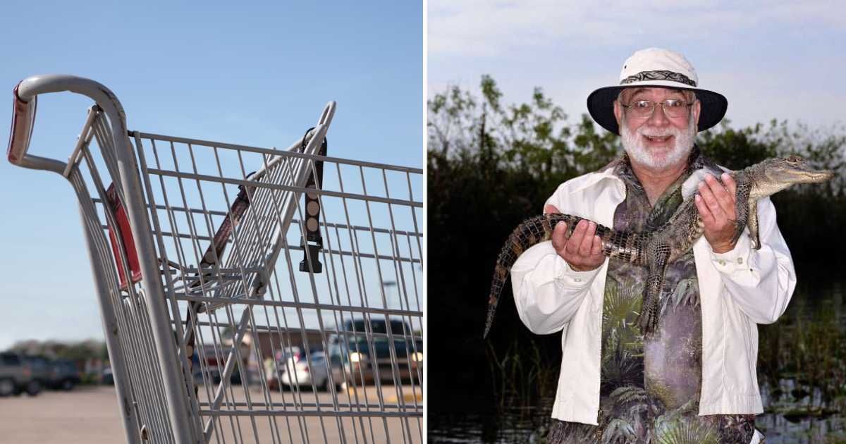 (L) Empty shopping cart in the parking lot waiting. (R) An old man with an alligator. (Representative Image Source: Getty Images | (L) switas, (R) Ryan McVay)