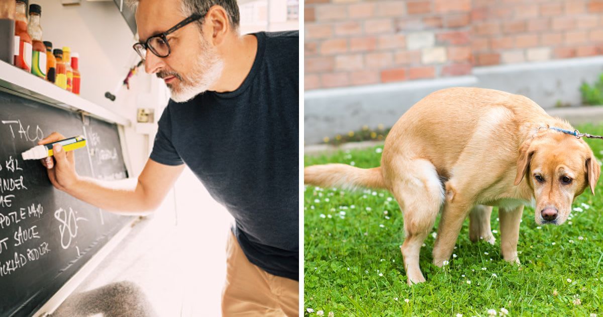 (L) Man writing with chalk on blackboard, (R)Labrador retriever dog poops in the park. (Representative Cover Image Source: Getty Images | (L)Maskot, (R) sssss1gmel)
