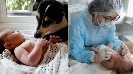 New mom was annoyed when pet dog kept waking her sick baby — moments later, doctors revealed it was a life-saving warning