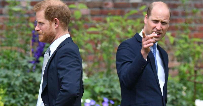 'Charming' Prince Harry's Successful UK Tour Has William Losing Sleep, Claims Author