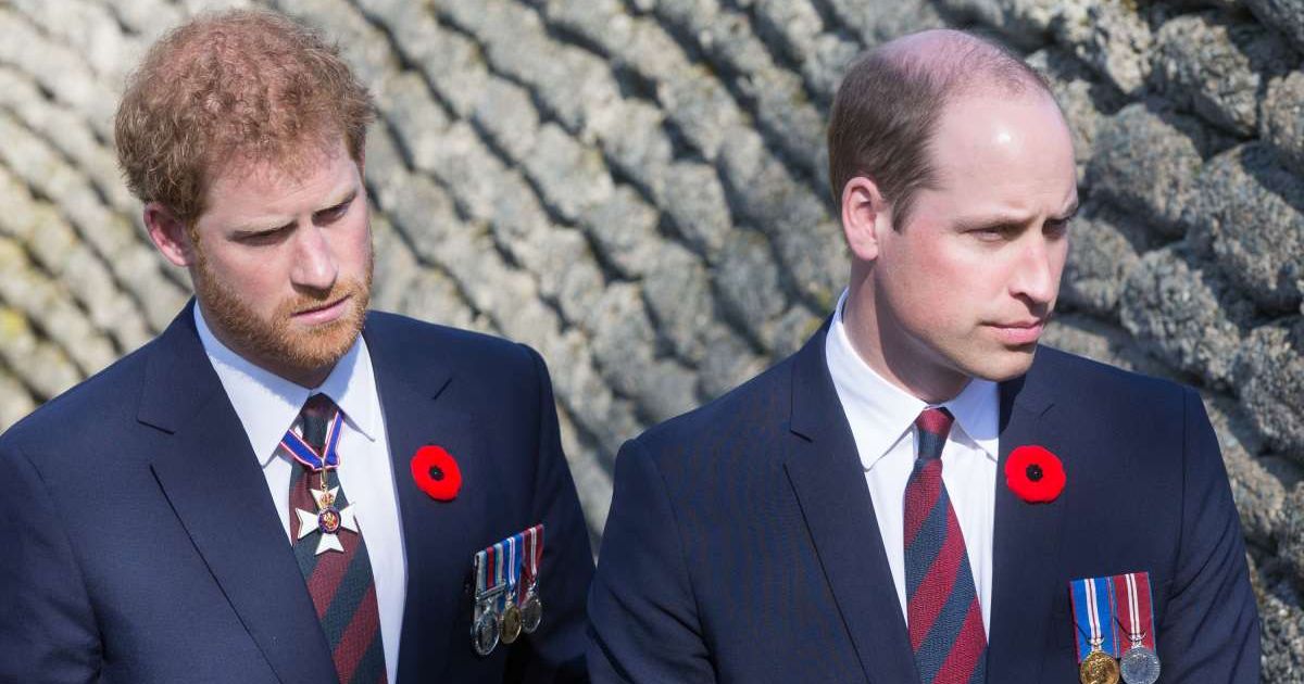 Prince William and Prince Harry visit the trenches and tunnels used during the Battle of Vimy Ridge, as part of the 100th anniversary of the battle. (Cover Image Source: Getty Images|  Andy Commins - Pool)