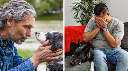 What would you ask your pet if they could talk? One man posed the question — and the answers are tear-jerking