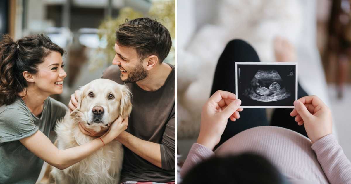 (L) A couple hugging their pet dog. (R) A pregnant woman holding her ultrasound scan. (Representative Cover Image Source: Getty Images | (L) skynesher, (R) AsiaVision)