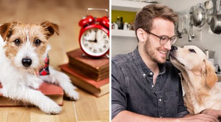 Your dog can tell exact time of day by just smelling you, says dog psychologist