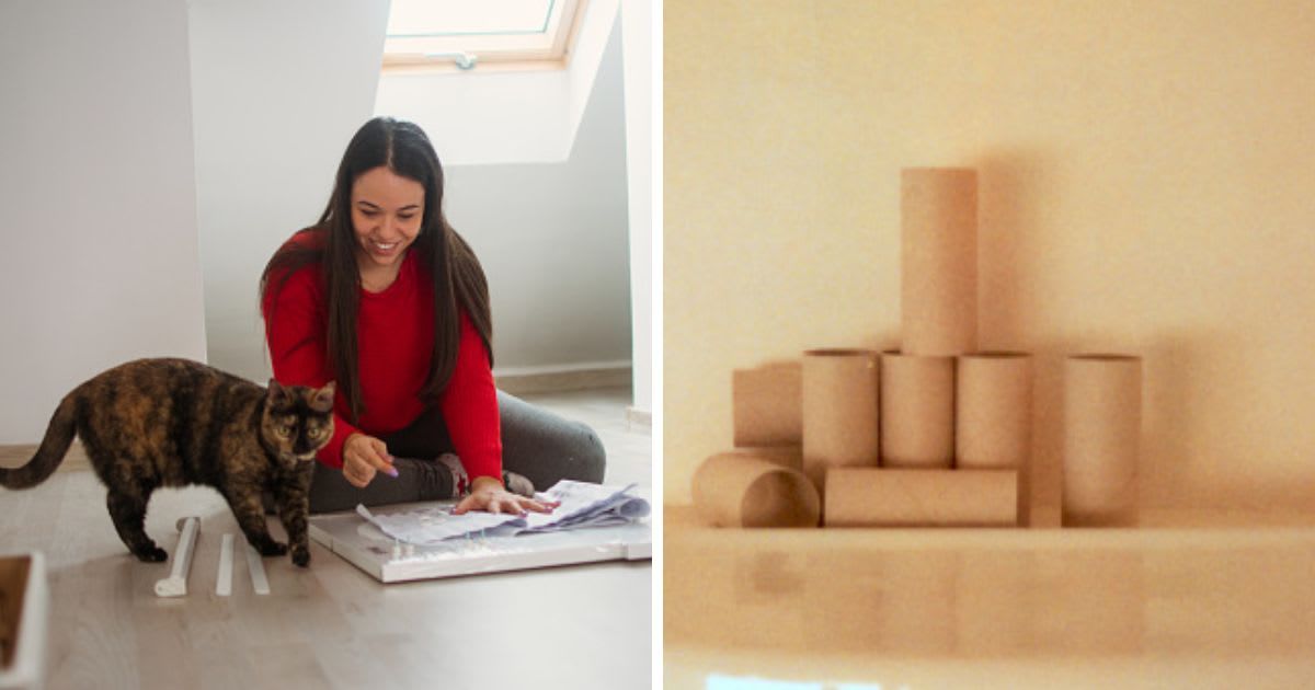 (L)Woman working with cat at home, (R) Empty toilet paper rolls stacked behind a toilet. (Representative Cover Image Source: Getty Images | (L)Jelena Lalic, (R) c.dollan)