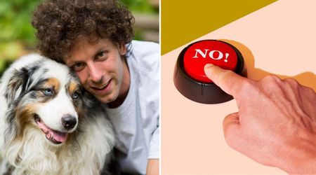 Australian Shepherd uses talking button to bluntly tell house guests to leave when busy owner refuses to walk him