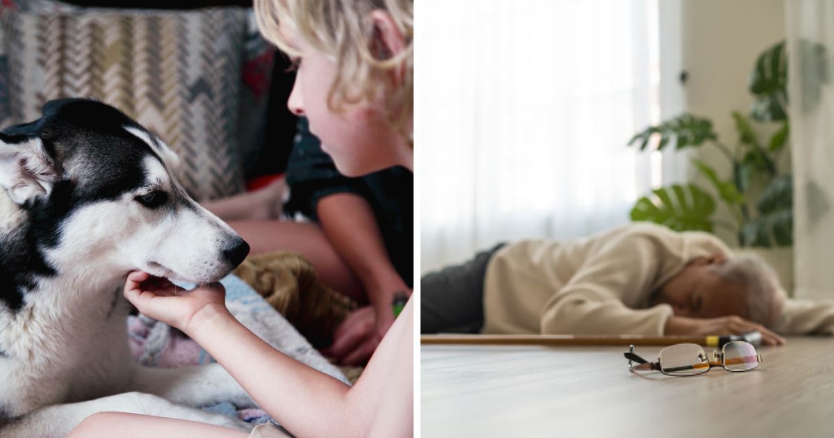(L) Touching Siberian Husky Dog On Bed, (R) A Senior male falling on the ground while walking. (Representative Cover Image Source: Getty Images | (L) EyeEm Mobile GmbH, (R) Kiwis)