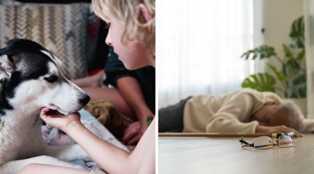 Wife thought their dog saved her husband after a heart attack by waking her — but it was the pet’s second heroic act that kept him alive