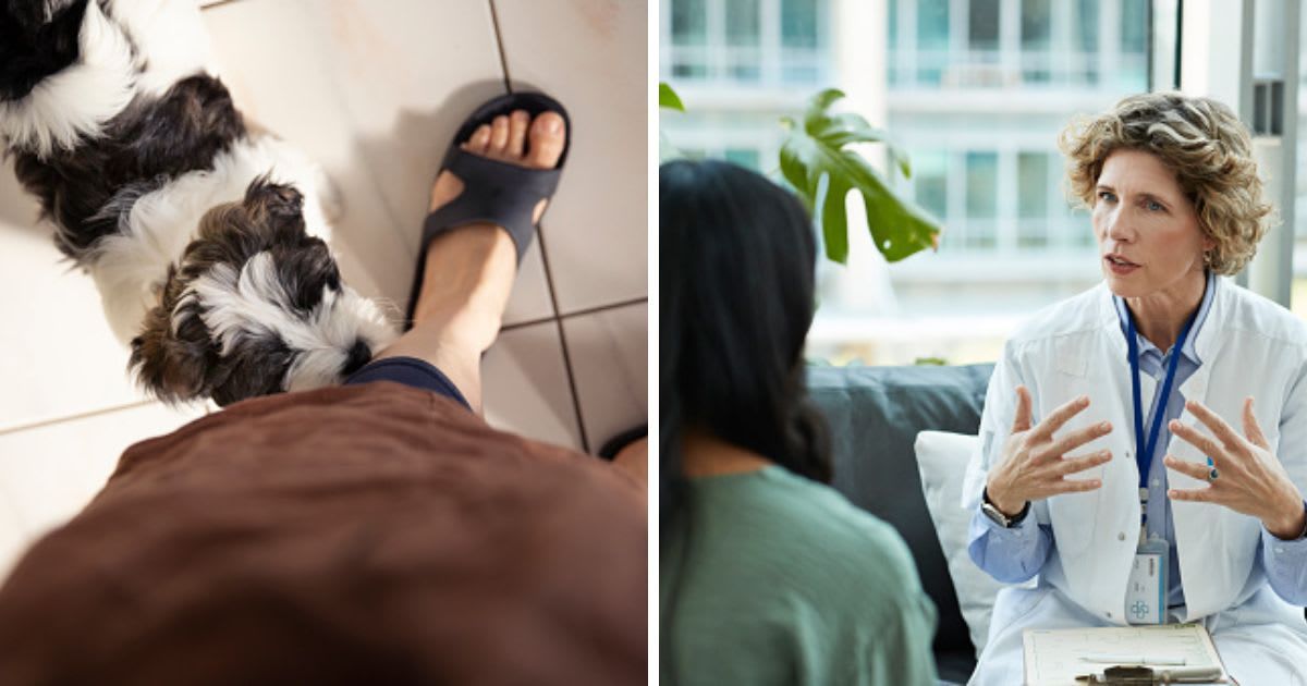 (L) Puppy sniffing an adult's leg, (R) Healthcare expert guiding patient. (Representative Cover Image Source: Getty Images | (L)Elva Etienne, (R) Klaus Vedfelt)