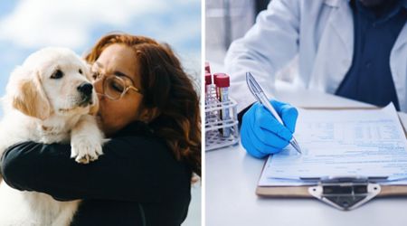 Dog lover paid over $850 for a ‘purebred’ puppy — 9 months later, a DNA test exposed the scam