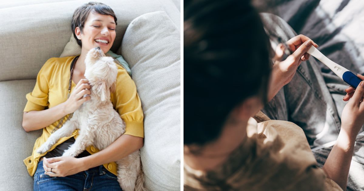 (L) Young woman hugging dog on living room sofa, (R) Woman Taking Pregnancy Test At Home. (Representative Cover Image Source: Getty Images | (L) Grace Chon, (R) Viktoriya Skorikova)