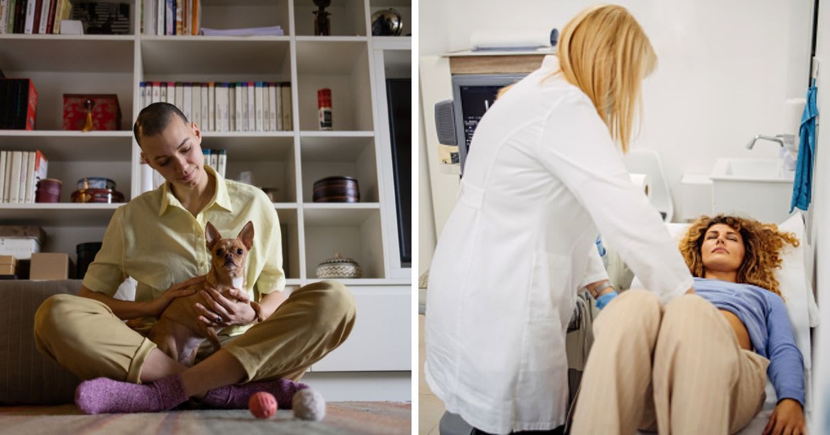 (L) Cancer survivor grooming her small, cute chihuahua dog, (R) A doctor using an ultrasound scanner on a patient. (Representative Cover Image Source: Getty Images | (L)humanmade, (R) enigma_images)