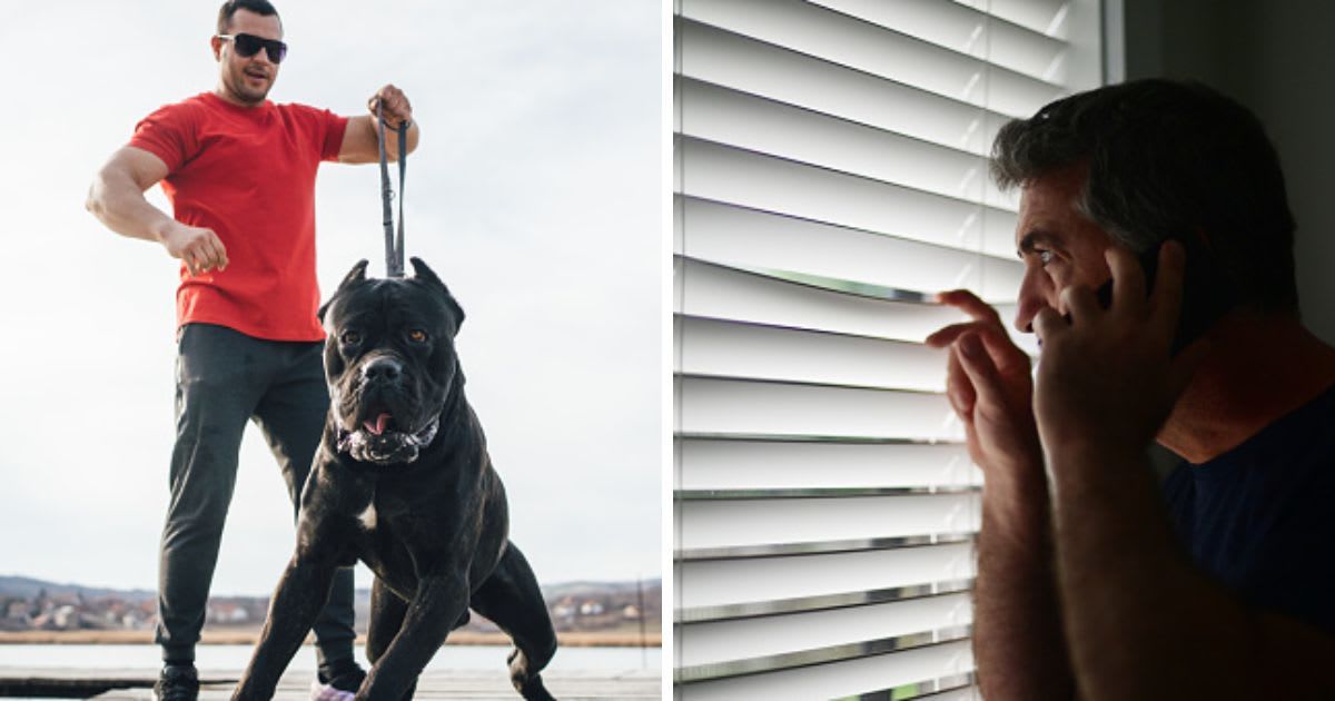 (L) Man trains his aggressive dog, (R) Man looking through window suspicious of neighbor. (Representative Cover Image Source: Getty Images | (L) FluxFactory, (R) Rafael Ben-Ari)