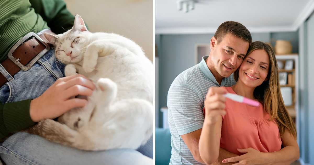 (L) A cat snuggling on its owner's lap. (R) A couple looking at a pregnancy test. (Representative Cover Image Source: Getty Images | (L) Isabel Alcala, (R) RealPeopleGroup)