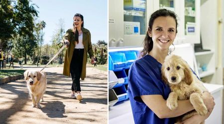 Vet shares a simple walking trick that’ll tire your dog more than running — and it’s great for the mental health too