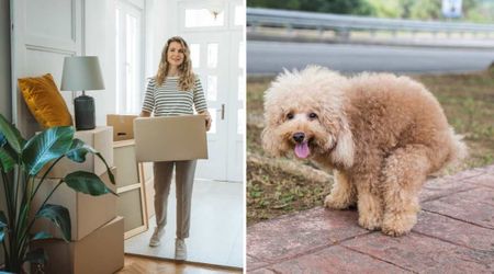 Tenant was stunned when landlord ordered DNA profiling of her dog’s poop — until the reason turned out fair