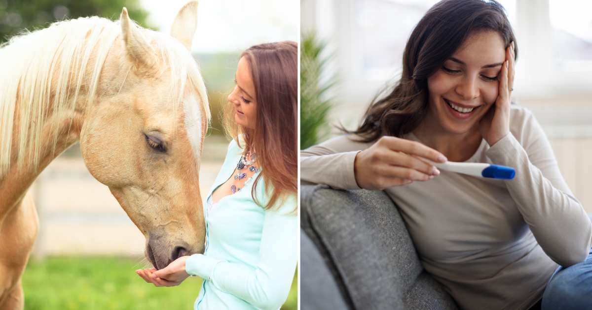 (L) A horse sniffing a young woman. (R) A woman looking at a pregnancy test. (Representative Cover Image Source: Getty Images | (L) Sasha Bell, (R) damircudic)