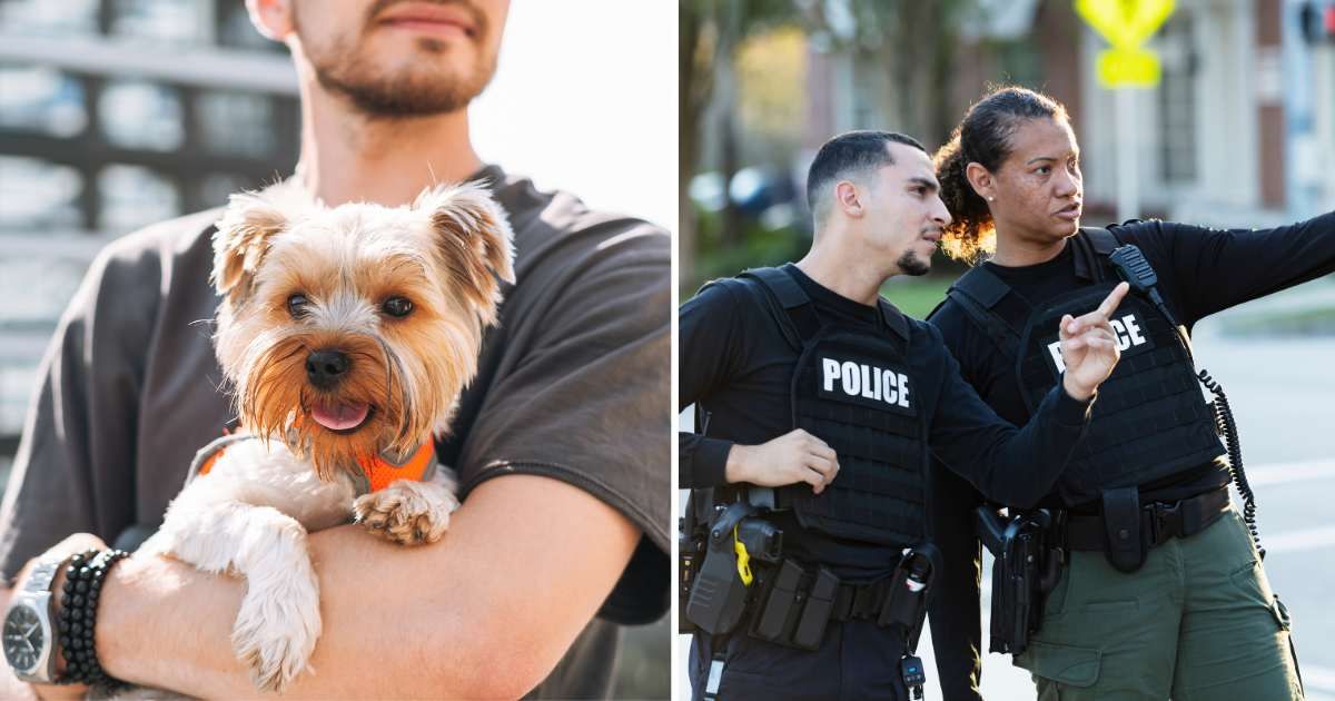 (L) A man holding a Yorkie dog. (R) Two police officers. (Representative Cover Image Source: Getty Images | (L) Galina Zhigalova, (R) kali9)
