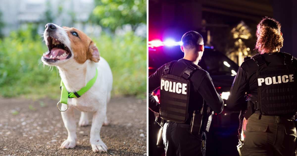 (L) A pet dog barking. (R) Two police officers standing together. (Representative Cover Image Source: Getty Images | (L) primeimages, (R) kali9)