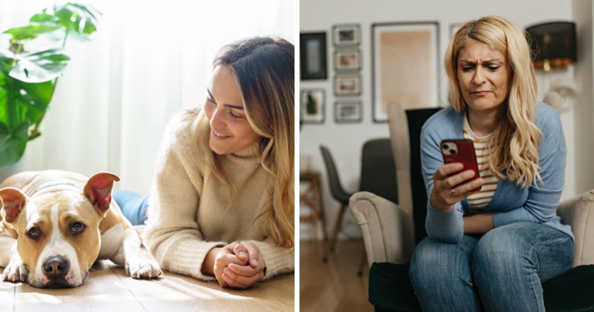 (L) A sad Brown Pitbull Terrier dog laying next to woman, (R) A Concerned woman looking at smartphone. (Representative Cover Image Source: Getty Images | (L) Vera Vita, (R) supersizer)