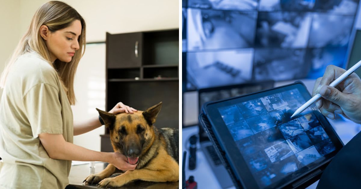 (L) A woman caressing her dog, (R) A cctv monitor. (Representative Cover Image Source: Getty Images | (L) Antonio_Diaz, (R) Afterday)