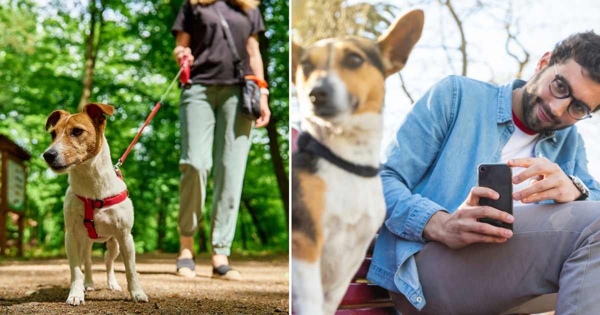 (L) A woman walking her pet dog. (R) A man taking a picture of a pet dog. (Representative Cover Image Source: Getty Images | (L) Lazy_Bear, (R) Westend61)