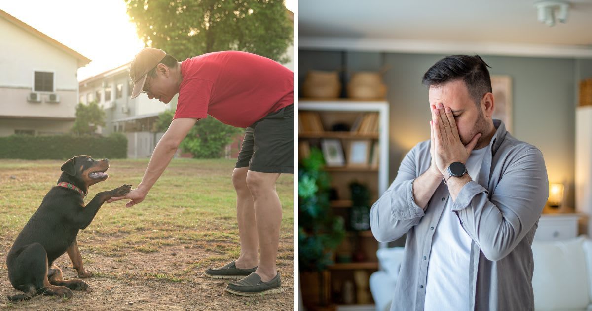 (L) Dog paw on adult man's hand, (R) A man breaks down. (Representative Cover Image Source: Getty Images | (L)sinseeho, (R)draganab)