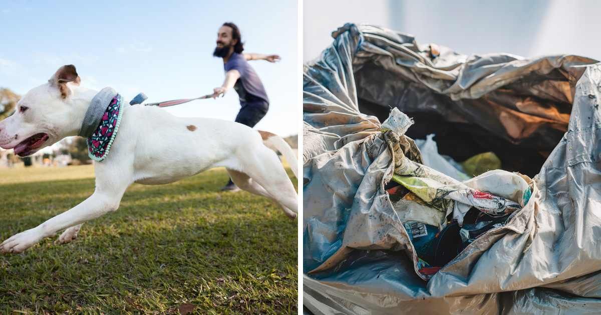 (L) Dog pulling its owner in a park; (R) A close-up shot of a partially torn garbage bag filled with trash - Representative Cover Image Source: Getty Images | Photo by (L) Capuski; (R) Flaviu Cernea