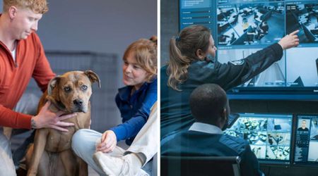 Couple turned in a 'caged' puppy as if they had saved it — but cops checked surveillance and exposed a heartbreaking truth