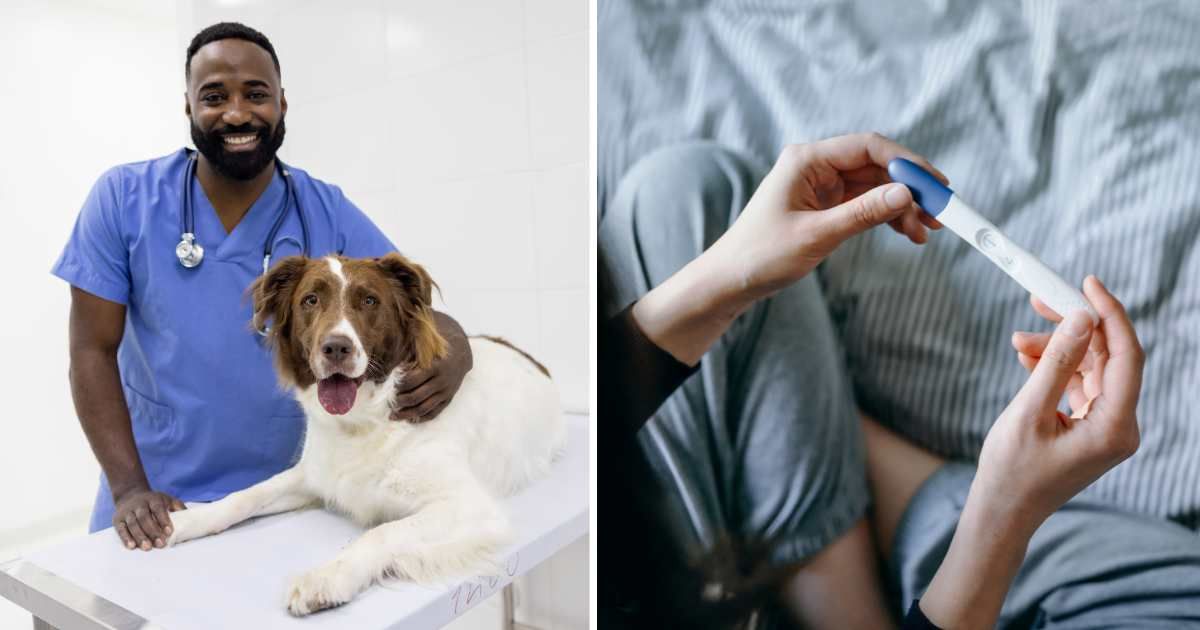 (L) A male vet with a pet dog. (R) A woman holding a pregnancy test. (Representative Cover Image Source: Getty Images | (L) Hispanolistic, (R) d3sign)