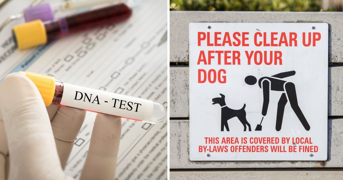 (L) A DNA test. (R) A notice of cleaning up after pet dogs. (Representative Cover Image Source: Getty Images | (L) utah778, (R) Ian Dyball)