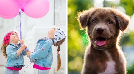 4-year-old twins released balloons with a wish for a puppy — they weren’t prepared for an incredible surprise waiting 650 miles away