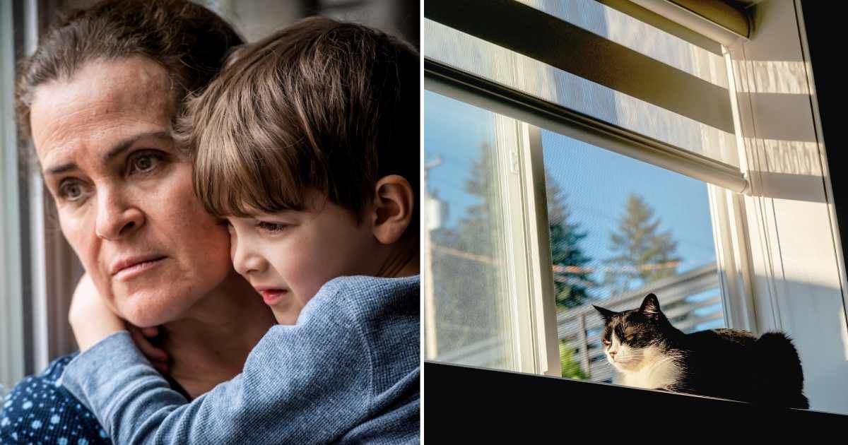 (L) A worried-looking mother with her son. (R) A cat sitting by the window. (Representative Cover Image Source: Getty Images | (L) Juanmonino, (R) Redjina Ph)