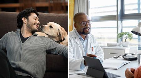 Dog’s bizarre habit of sniffing around his owner’s mouth went on for months — then came the life-changing diagnosis