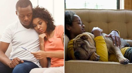 Couple struggling to get pregnant adopted a rescue dog for support — weeks later, his peculiar behavior led to a test they never expected