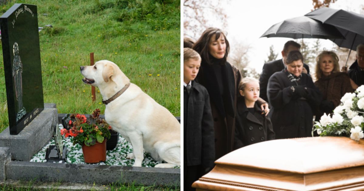 (L) Dog Mourning the Loss of its Owner, (R)People at a funeral in a cemetery. (Representative Cover Image Source: Getty Images | (L) JohnGollop, (R)RubberBallProductions)