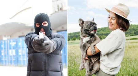  Man in ski mask pointed gun at woman to steal her French Bulldog — but her quick-thinking ended up saving both their lives