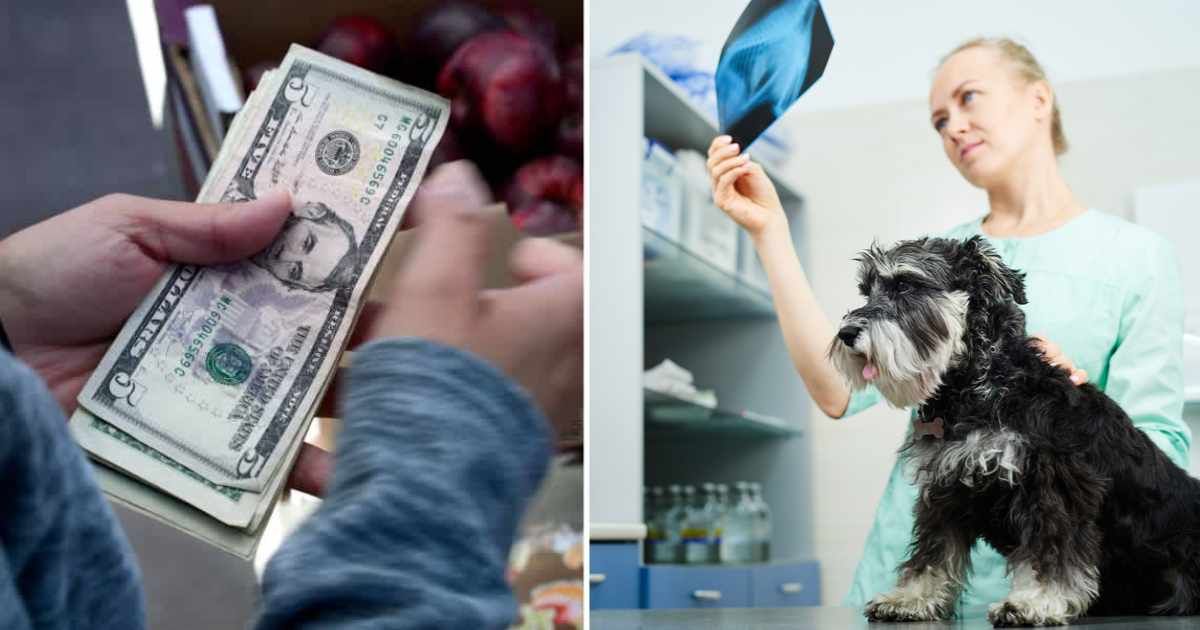 (L ) A man paying a bill ; (R) Veterinarian examining dog's x-ray image. (Representative Cover Source: Getty Images | Photo by (L) Robert Alexander; (R) satamedia)