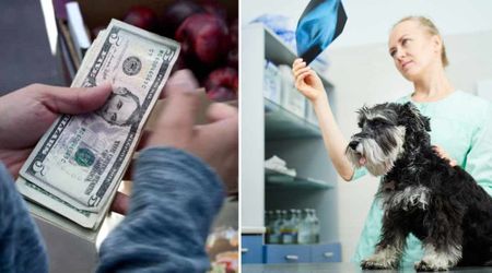 Owner spent $2,200 at vet fearing lump on their dog was cancer — but nothing could prepare them for what was inside