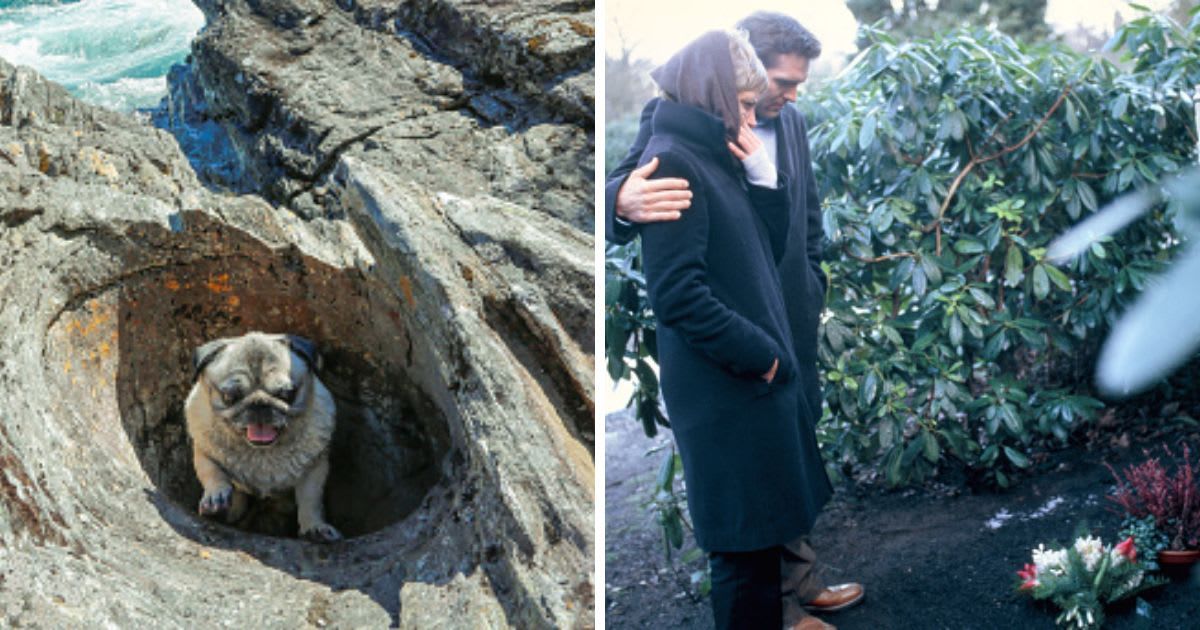 (L) A dog stuck in hole, (R) Young couple in a cemetery. (Representative Cover Image Source: Getty Images | (L) MariusLtu, (R) Mikael Vaisanen)
