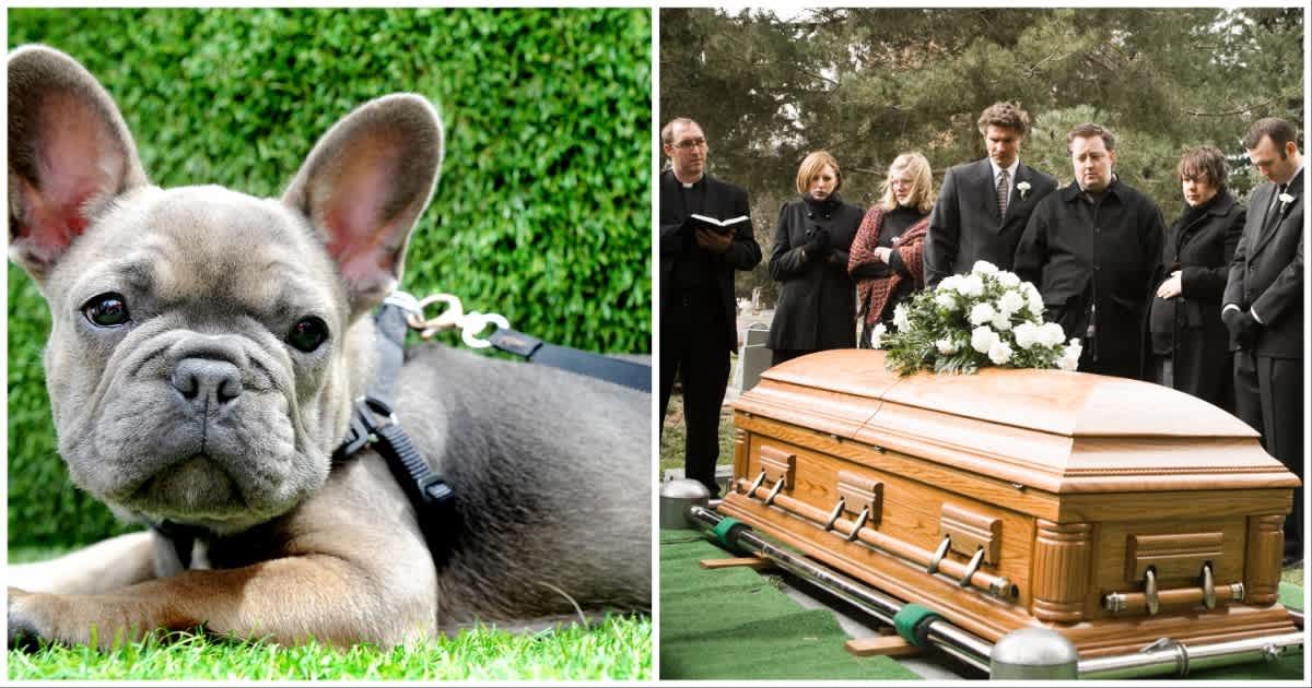 (L ) A french bulldog looks sad ; (R) A funeral meet (Representative Cover Source: Getty Images | Photo by (L) Shirlaine Forrest ; (R) RubberBall Productions)